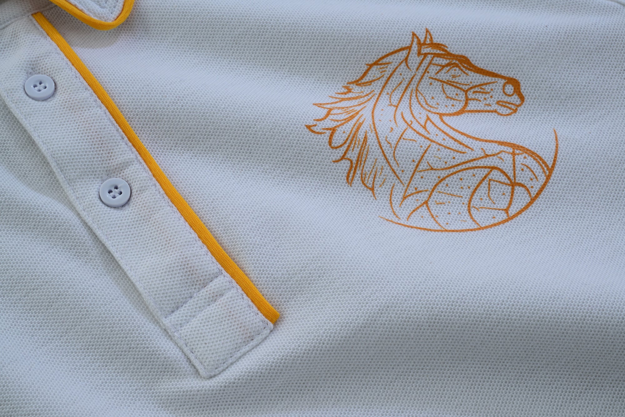 Full Sleeve Cricket Team Jersey