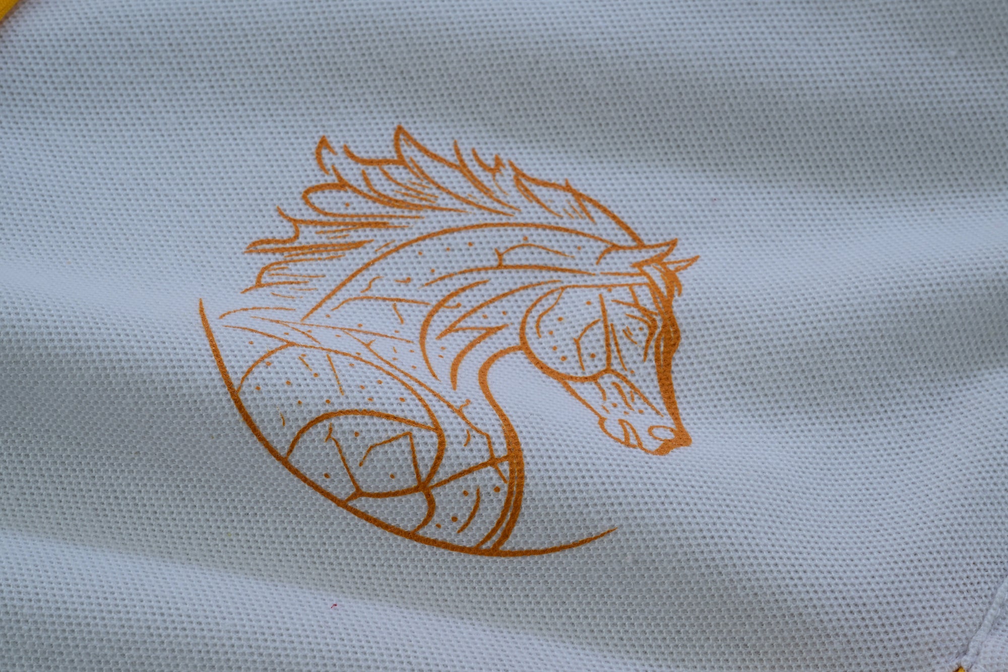Half Sleeve Cricket Team Jersey